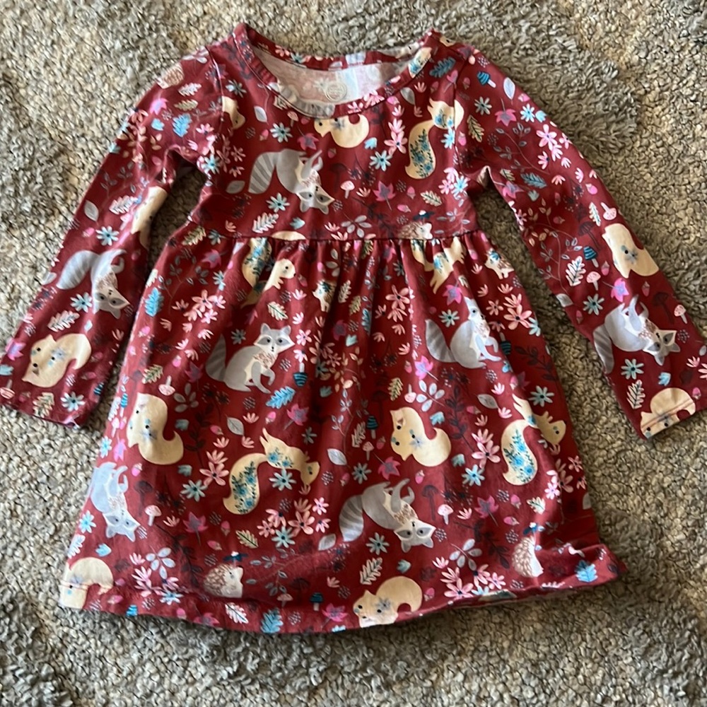 Wonder Nation dress size 2T